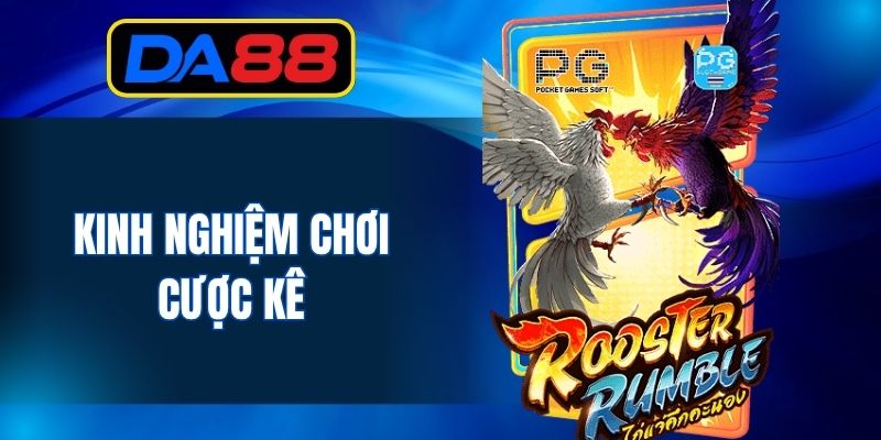 Kinh nghiệm chơi cược kê